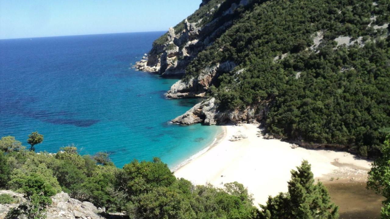 White Rose Suite Apartment Cala Gonone Buitenkant foto