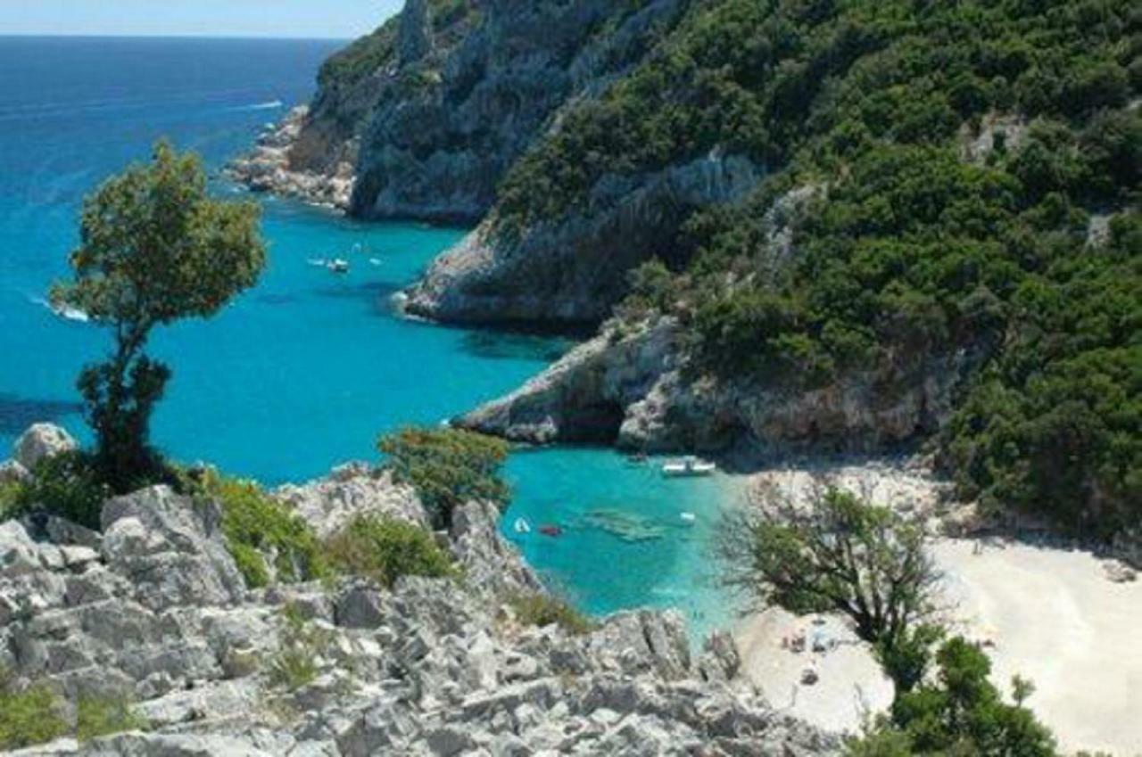 White Rose Suite Apartment Cala Gonone Buitenkant foto